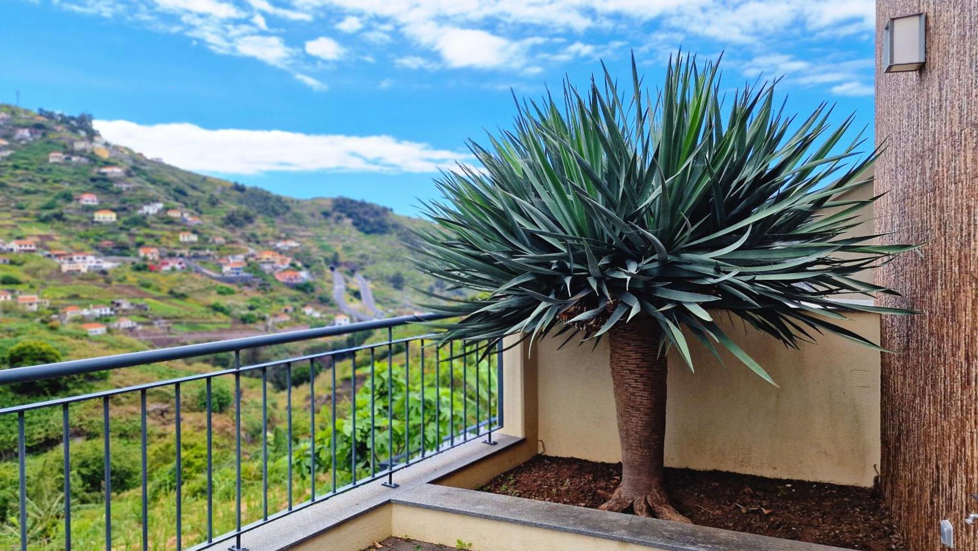 Capela'S House By Lovelystay Ribeira Brava Kültér fotó